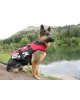 EZYDOG DFD Dog Life Jacket