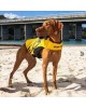 EZYDOG DFD X2 Boost Dog Life Jacket YELLOW