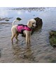 EZYDOG DFD X2 Boost Dog Life Jacket PINK