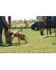 Dingo Leg training for short helper jute SOFT S01983