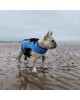 EZYDOG DFD X2 Boost Dog Life Jacket BLUE