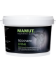 MAMUT RECOVERY DRINK - ΡΟΦΗΜΑ ΑΝΑΡΡΩΣΗΣ