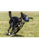Toy dog ​​training material French ball  11cm