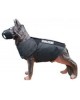 Tactical K9 Bodo Protect Vest complete